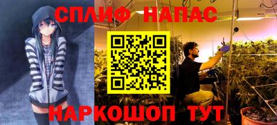 ГАЛЛЮЦИНОГЕННЫЕ ГРИБЫ Туймазы