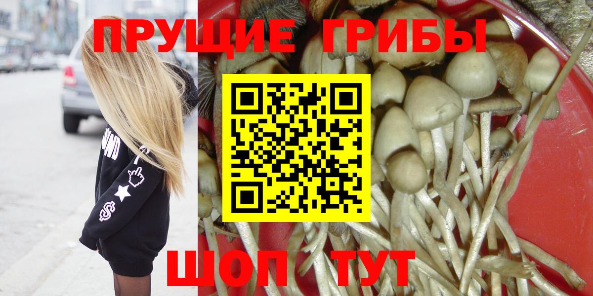 Псилоцибиновые грибы ЛСД  Вход с VPN  Ахтубинск 